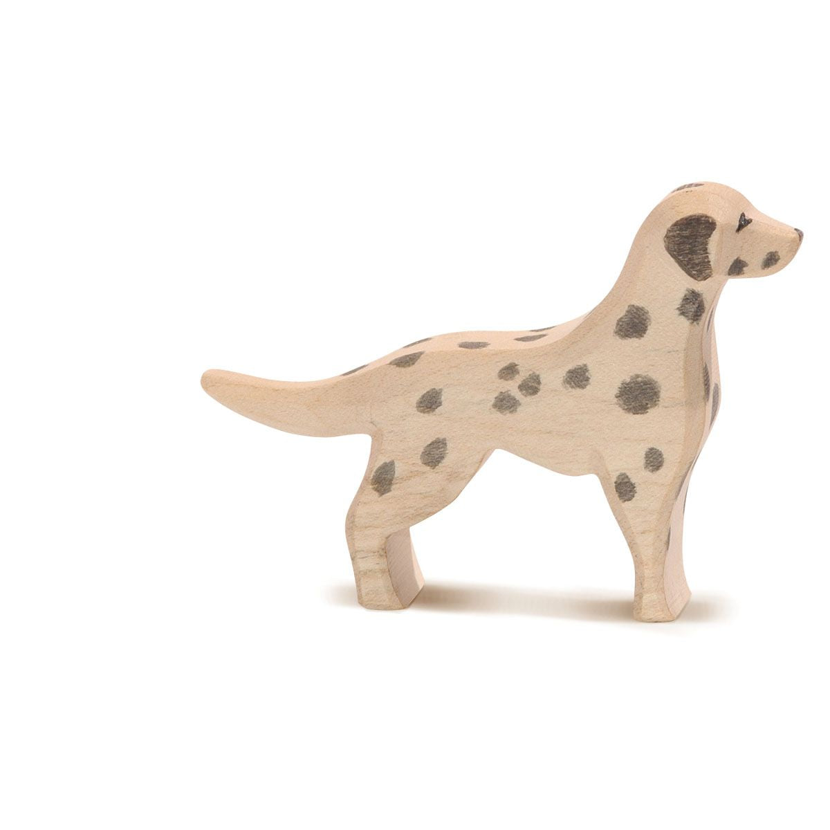 Dalmation