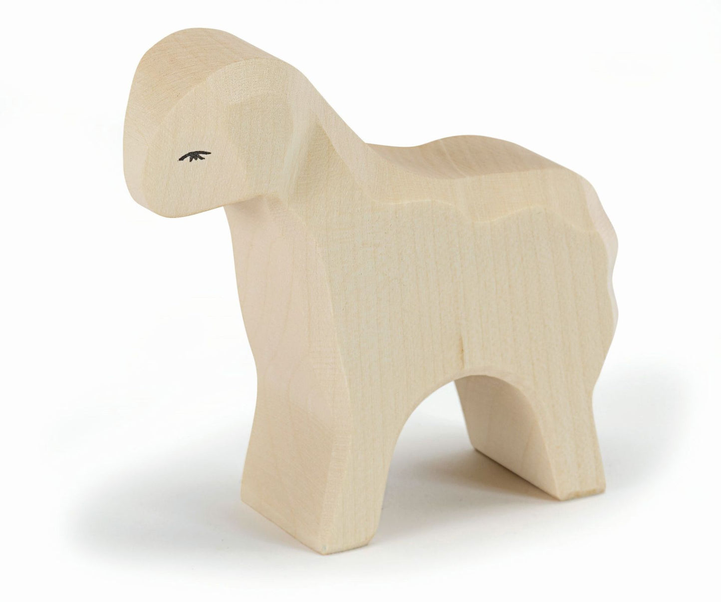 Sheep Standing