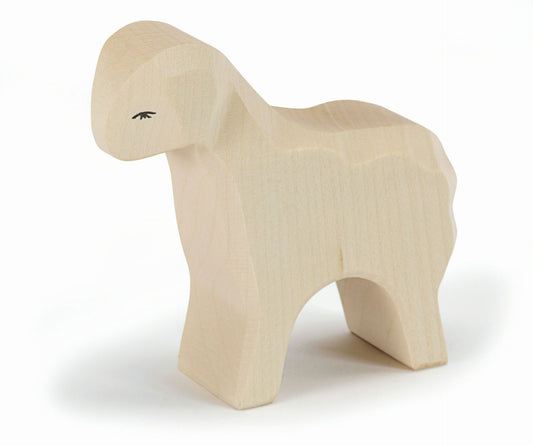 Sheep Standing