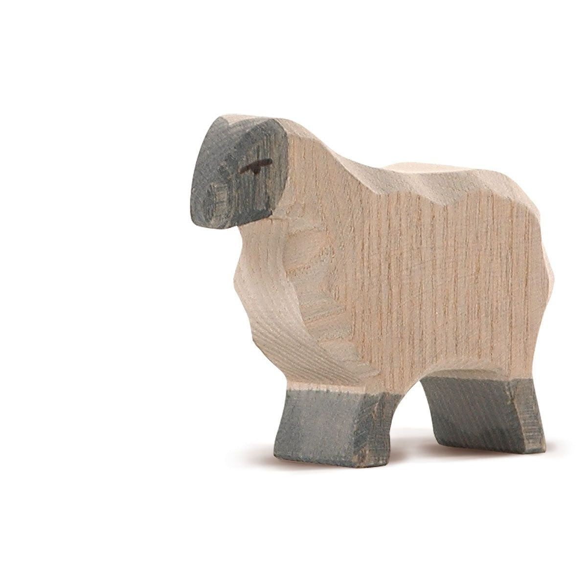 Moorland Sheep Family
