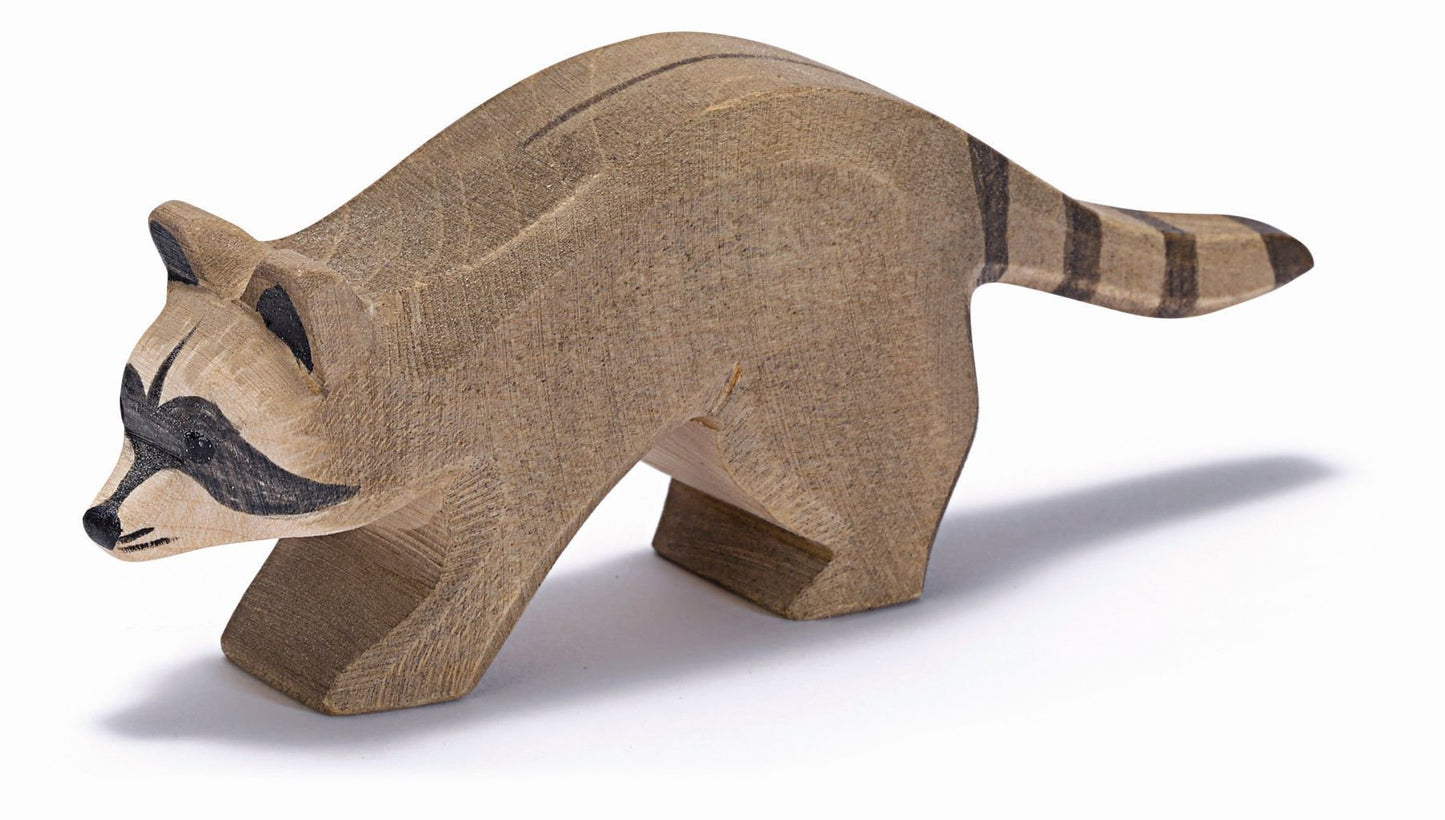Raccoon Running