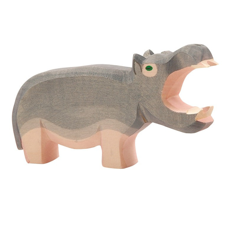Hippopotamus Open Mouth
