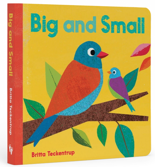 Big and Small Board Book