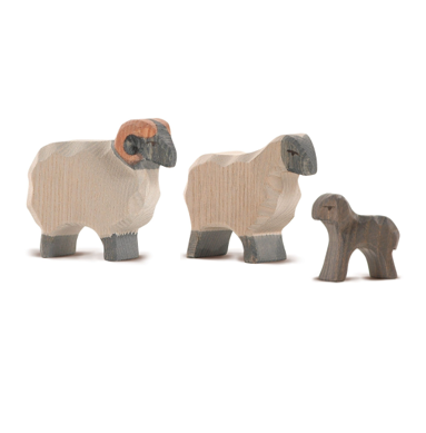 Moorland Sheep Family