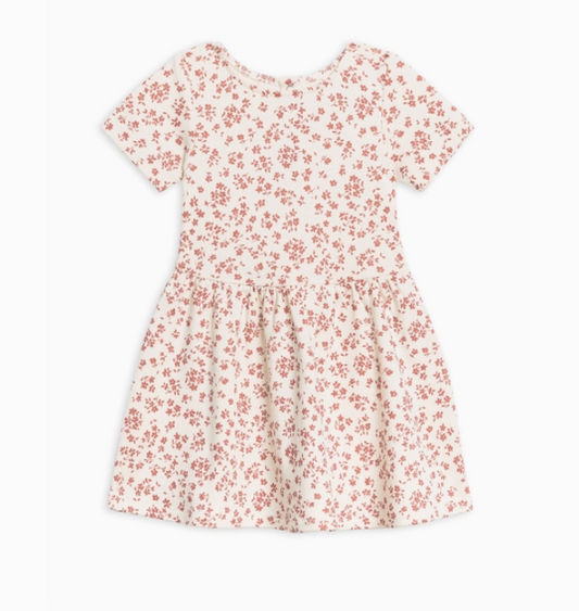 Stella Swing Dress in Alma Floral