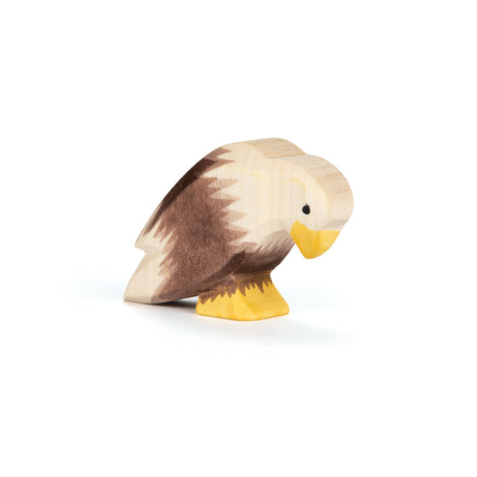 Bald Eagle Sitting