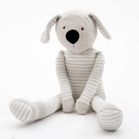 Buddy the Dog