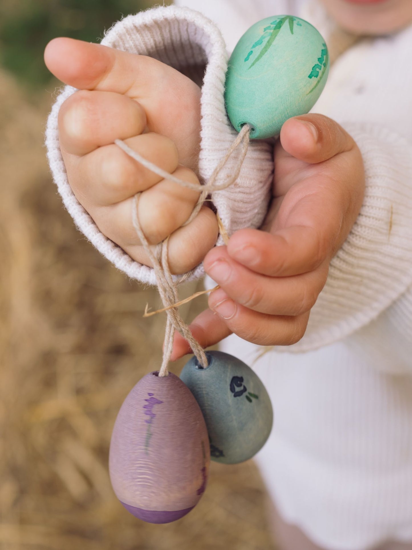 Aurora Eggs Hanging Ornaments