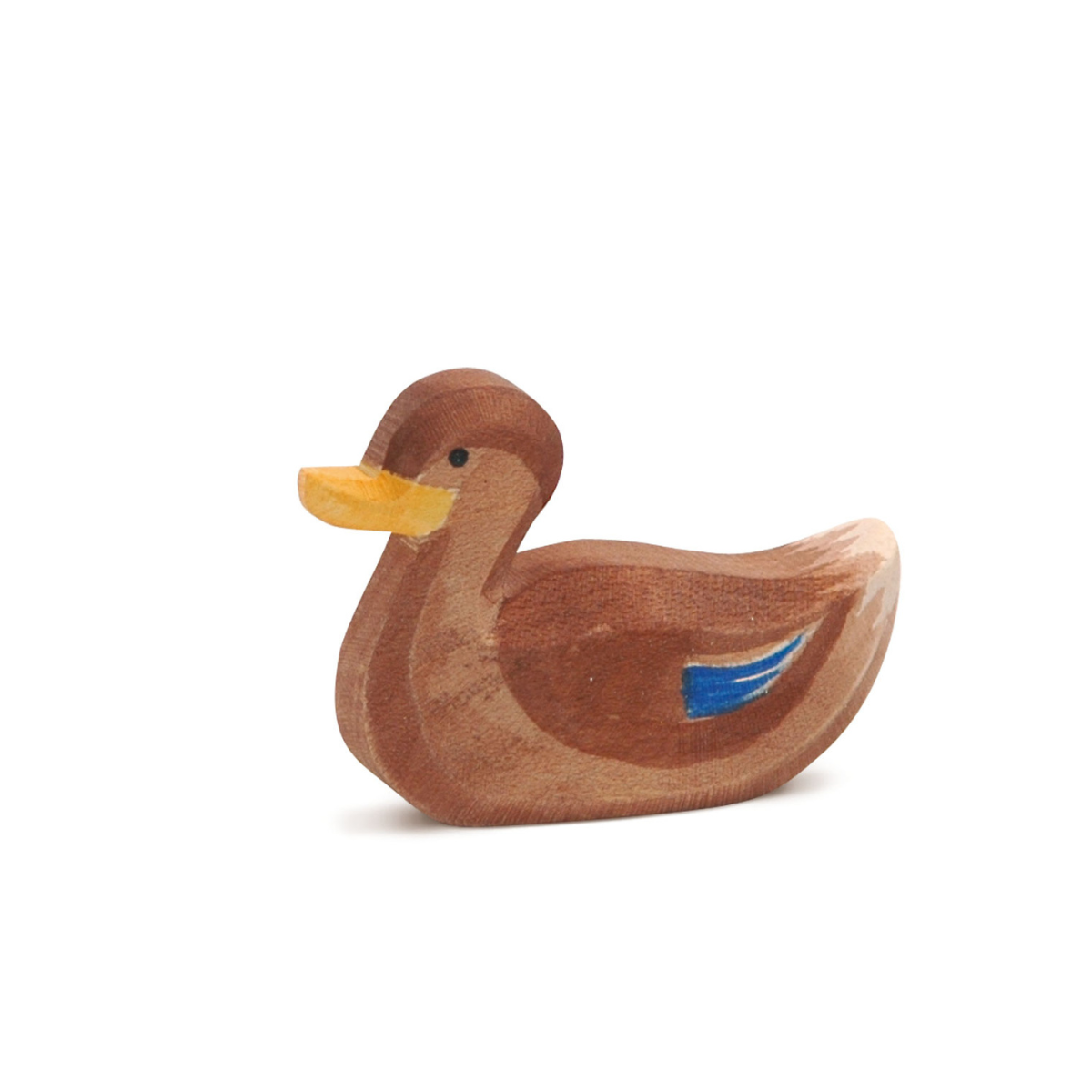 Duck Swimming