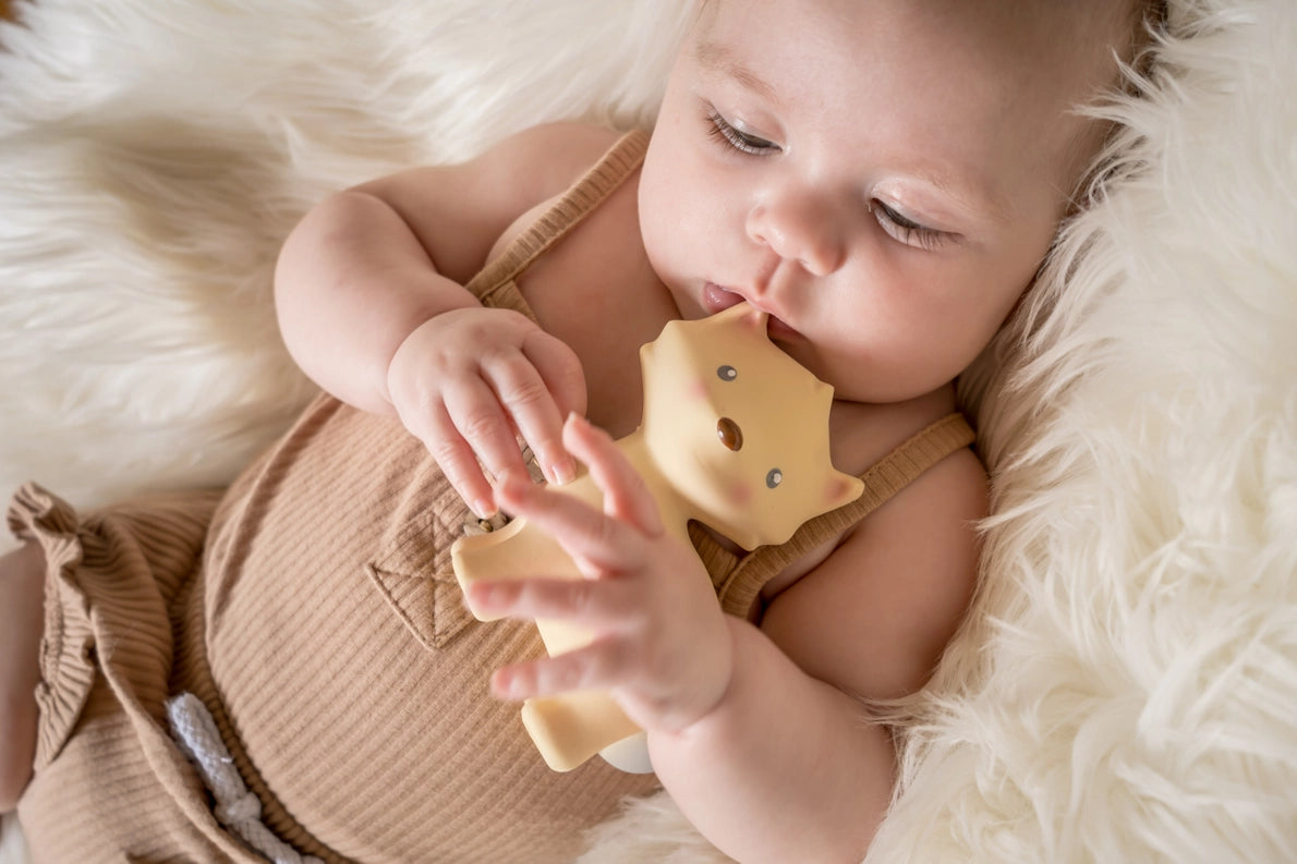 Arctic Fox Organic Natural Rubber Teether & Rattle
