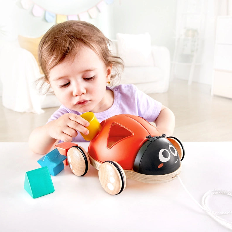Shape-Sorter Ladybug