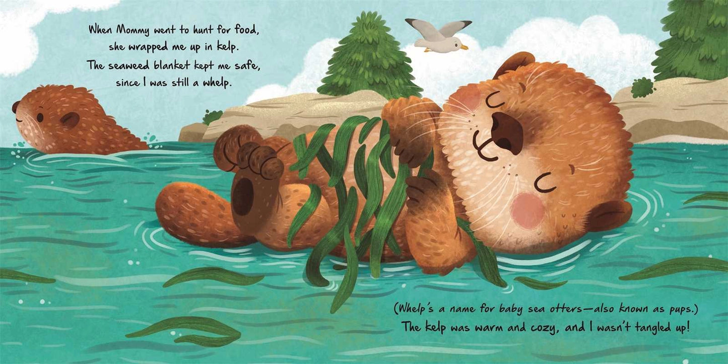 Little Otter