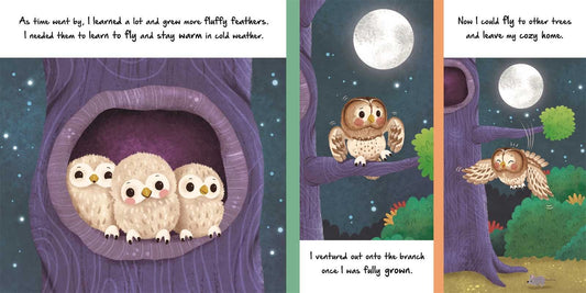 Little Owl
