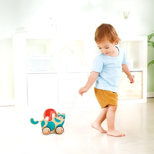 Roll & Rattle Kitten