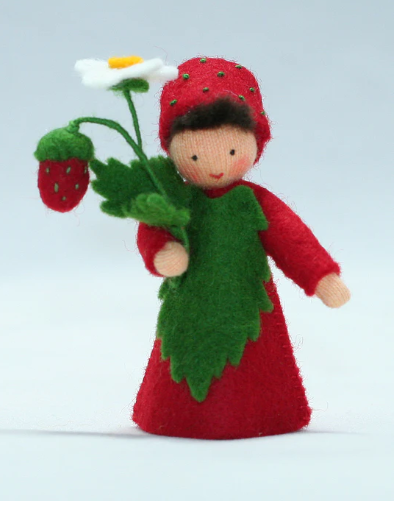 Eco Flower Fairy Strawberry Prince