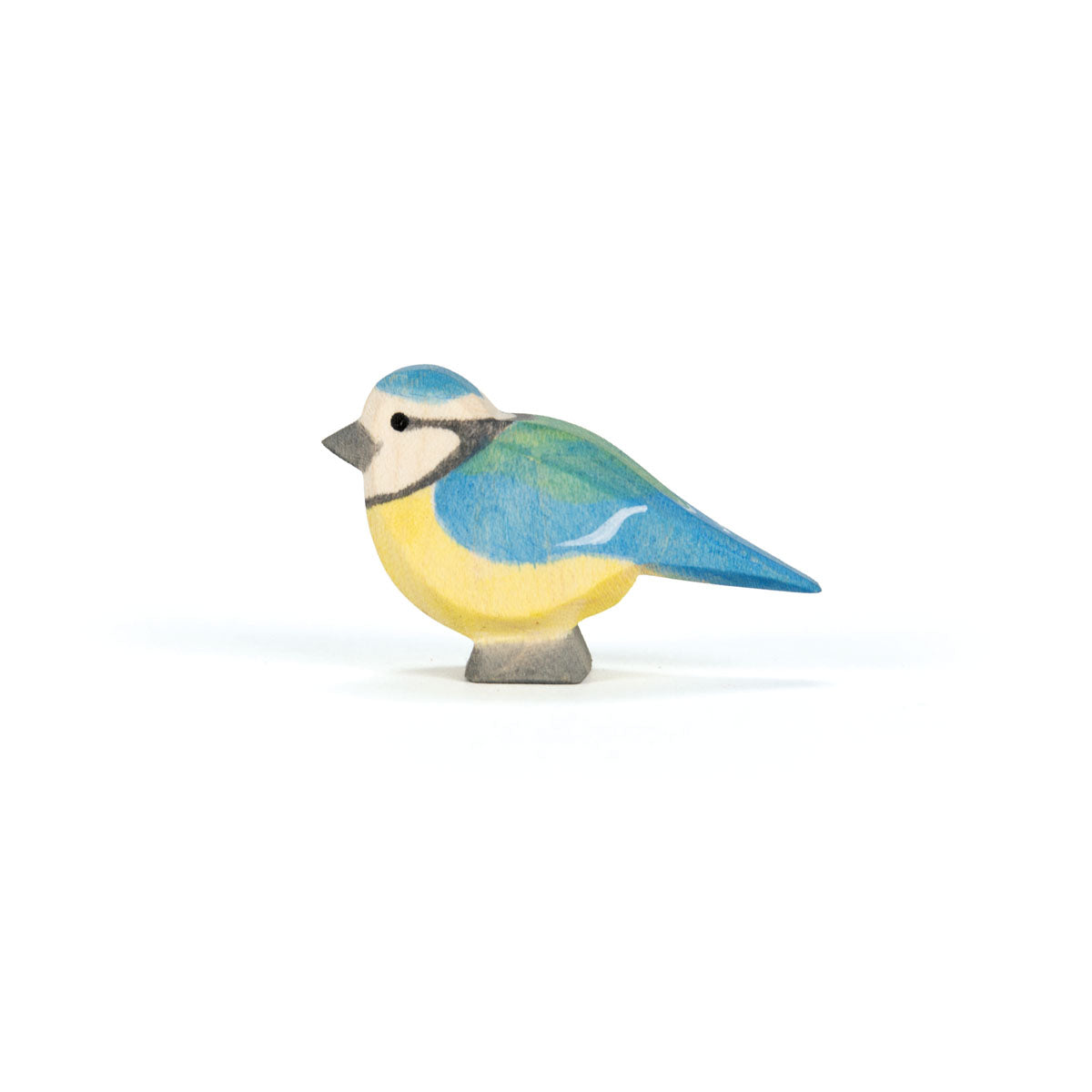 Blue Tit -Contact Us-