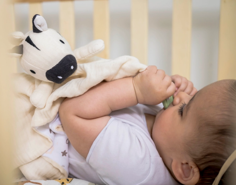 Organic Zebra Comforter