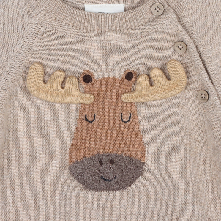 Moose Applique Raglan Baby Pullover