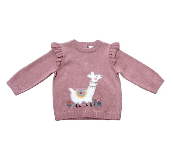 Organic Llama Sweater Set