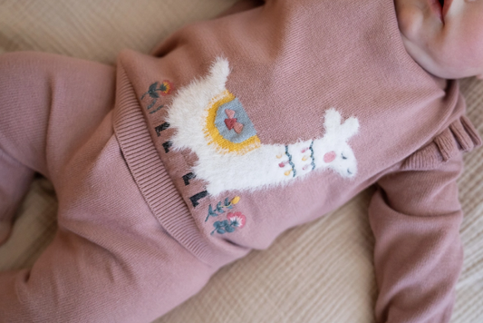 Organic Llama Sweater Set