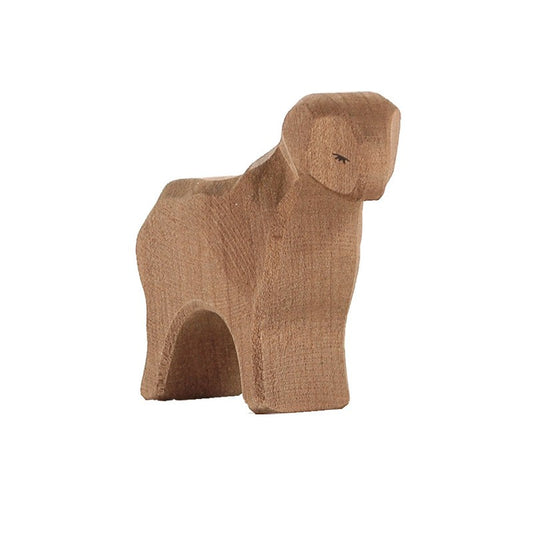 Sheep Brown Standing