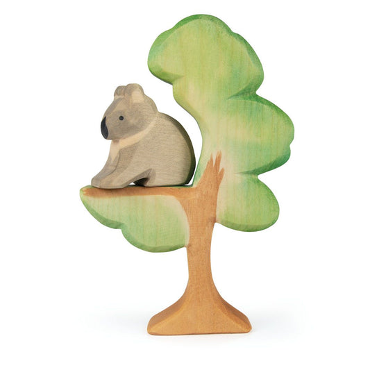 Eucalyptus