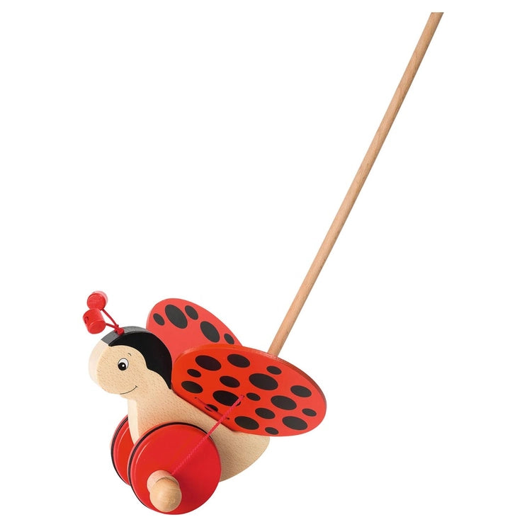 Push-Along Ladybug