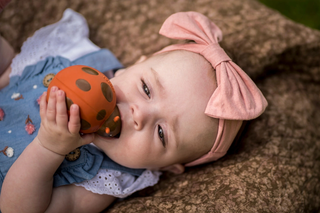 Ladybug Rattle Teether