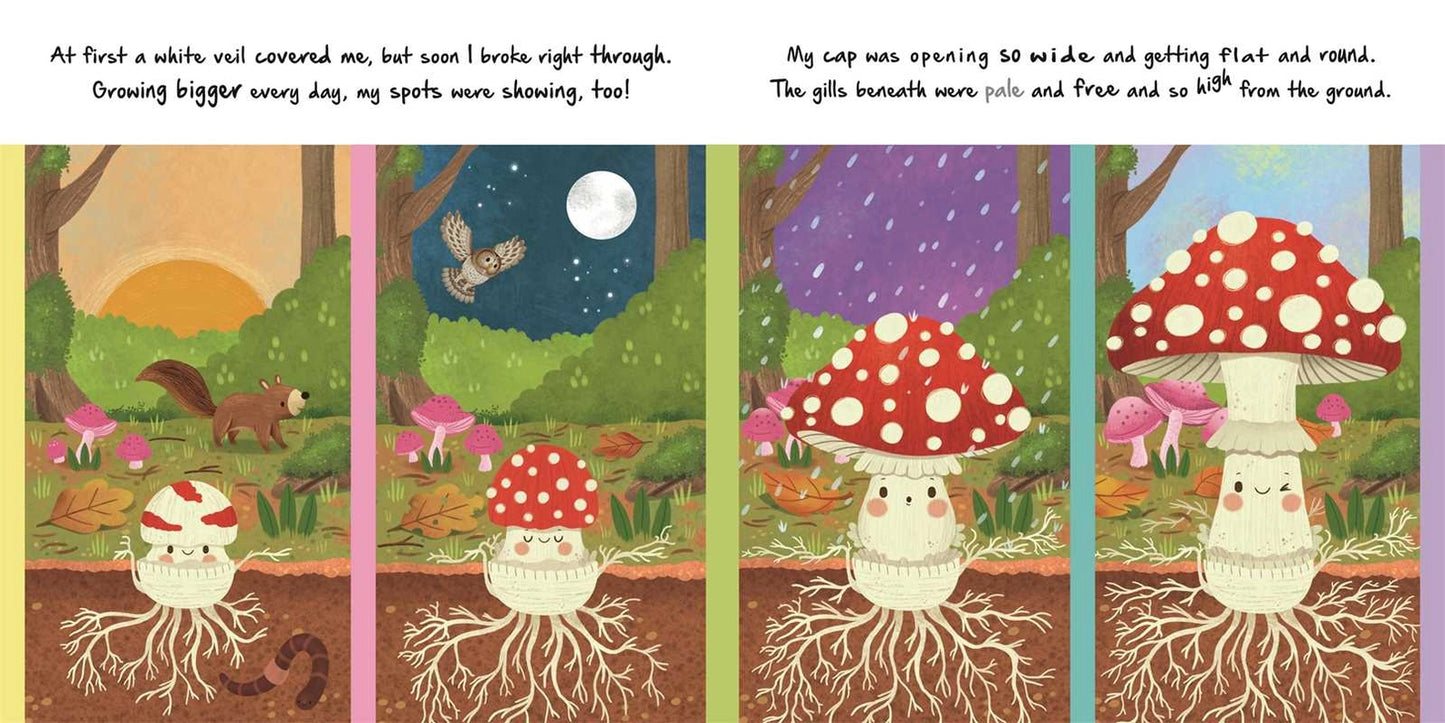 Little Mushroom