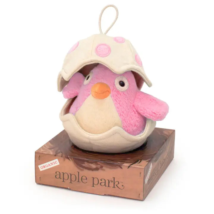 Musical Baby Bird Pull Toy Pink