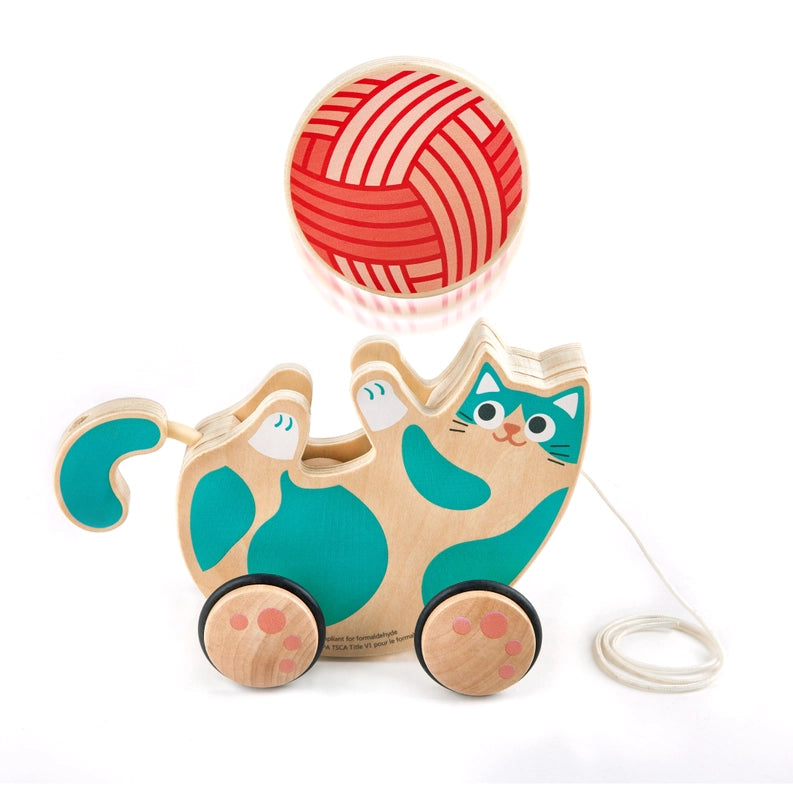 Roll & Rattle Kitten