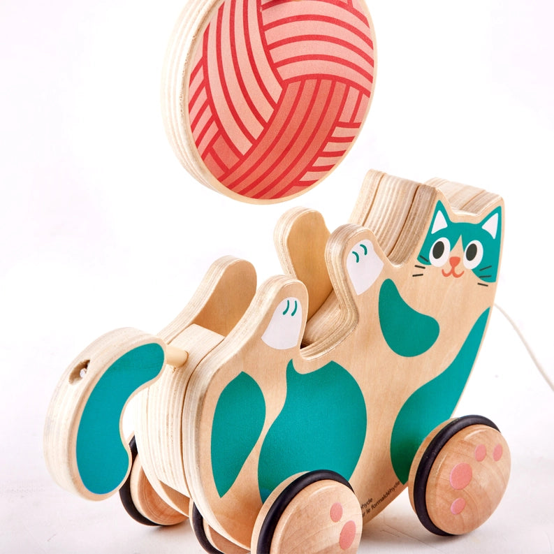 Roll & Rattle Kitten